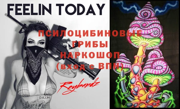 дмт Михайловск