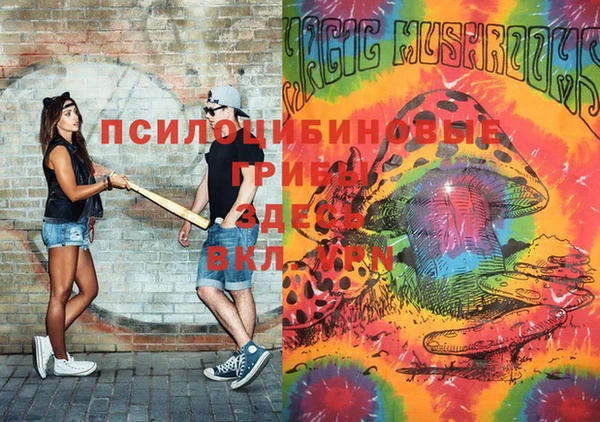MDMA Premium VHQ Михайловка