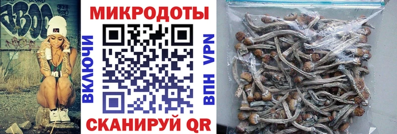 купить наркотик  Тайга  Псилоцибиновые грибы Cubensis 